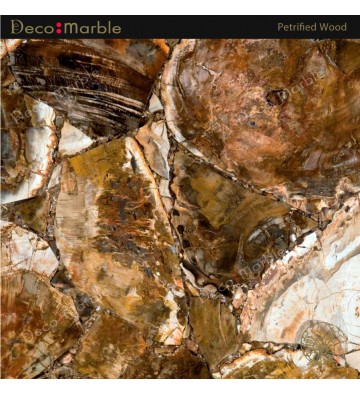 Semipreciosa Petrified Wood 