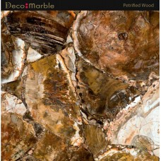 Semipreciosa Petrified Wood 