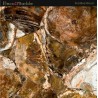 Semipreciosa Petrified Wood