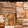 Semipreciosa Retro Petrified Wood®